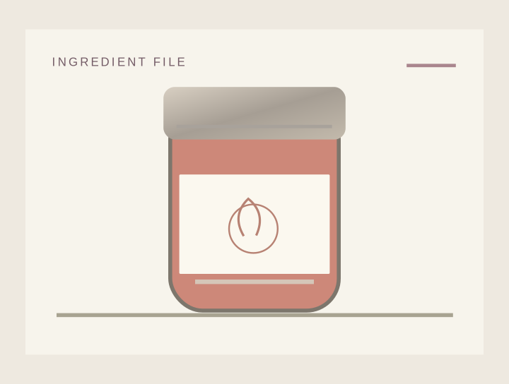 Illustration of Probiotic Blend